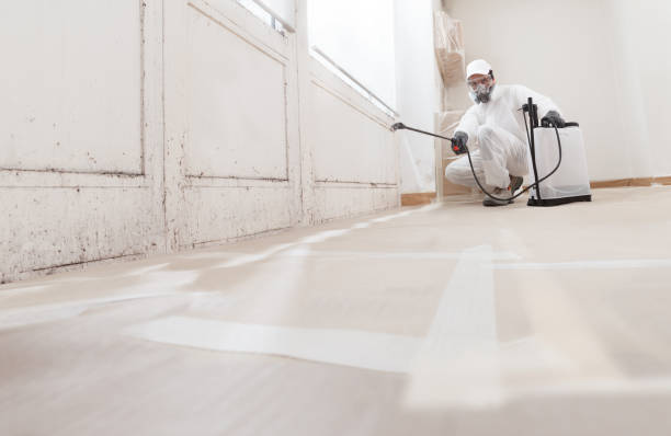 24/7 Emergency Mold Inspection experts in Wake Forest, NC
