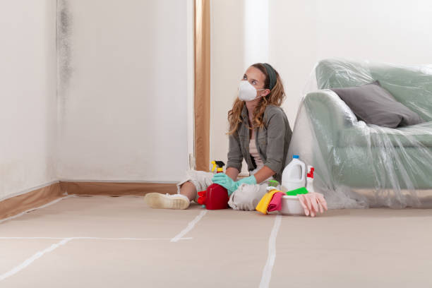 Reliable Mold Inspection contractor in Wake Forest, NC by WQB Mold Removal